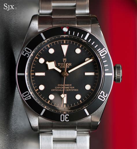 tudor black bay roma|tudor 79230 black bay.